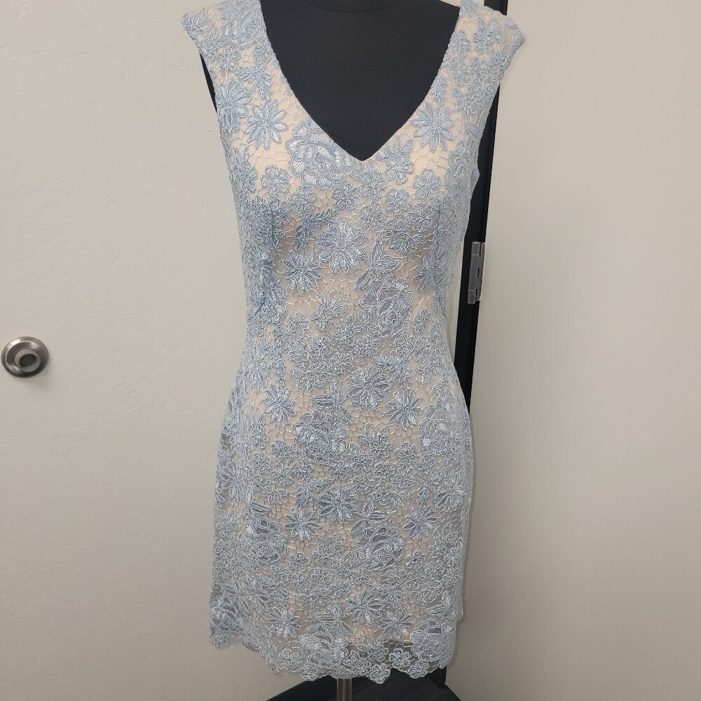 Fitted Light Blue Lace Dress